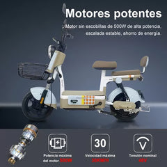 Moto Electrica Bicicleta Para Adulto 500w 30km/h DEYLINGS