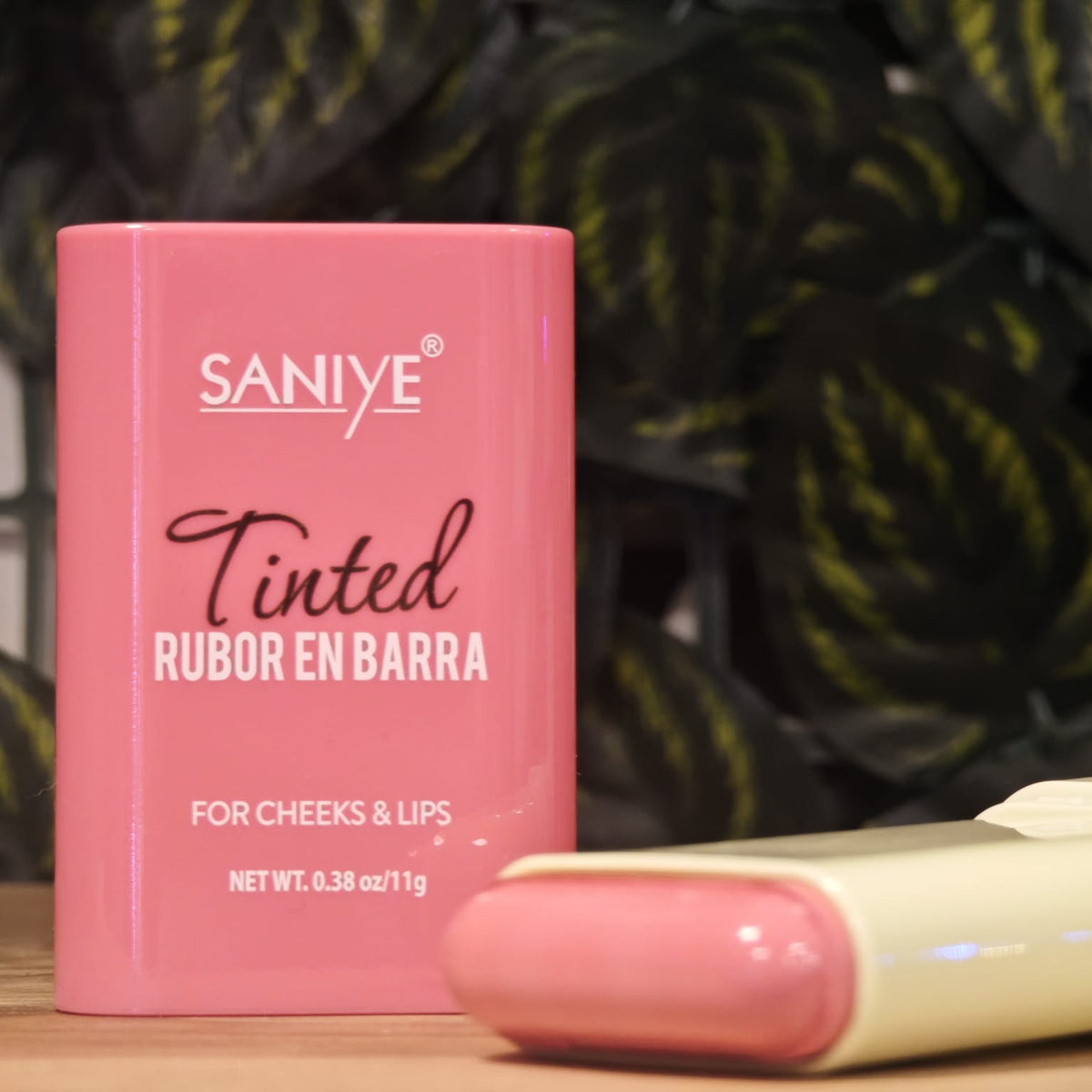 Rubor en barra saniye R93