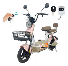 MOTO ELECTRICA CX-D10